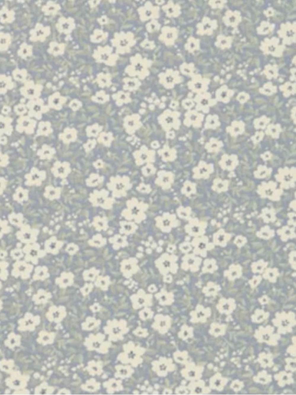 DISO Jamie Kay Greta Griffin Floral
